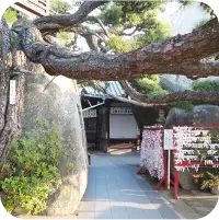 写真：神社の様子