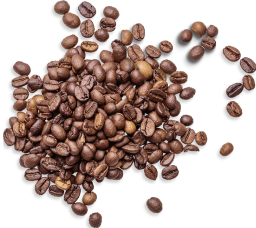装飾：コーヒー豆
